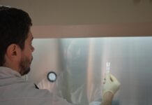 LOGRO DE ALCANCE INTERNACIONAL Desarrollan en la UNNE un ensayo molecular innovador para el diagnóstico de una micosis endémica de Latinoamérica