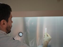 Desarrollan en la UNNE un ensayo molecular innovador para el diagnóstico de una micosis endémica de Latinoamérica