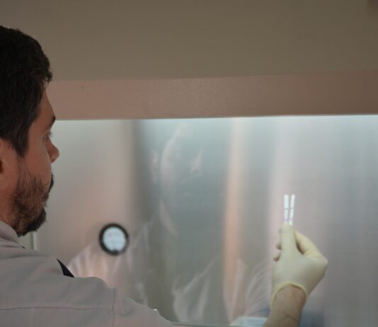 Desarrollan en la UNNE un ensayo molecular innovador para el diagnóstico de una micosis endémica de Latinoamérica