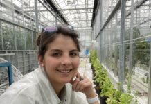 Egresada en la UNNE investiga sobre mejora genética vegetal en la principal universidad de agricultura del mundo.