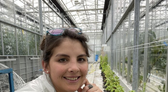 Egresada de la UNNE investiga sobre mejora genética vegetal en una de las universidades líderes del mundo en agricultura