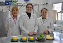POTENCIAL DE TRANSFERENCIA Buscan aprovechar enzimas de frutas regionales como coagulantes en la elaboración de quesos