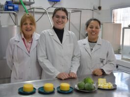 Buscan aprovechar enzimas de frutas regionales como coagulantes en la elaboración de quesos