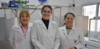 POTENCIAL DE TRANSFERENCIA Buscan aprovechar enzimas de frutas regionales como coagulantes en la elaboración de quesos