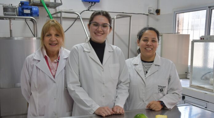 POTENCIAL DE TRANSFERENCIA Buscan aprovechar enzimas de frutas regionales como coagulantes en la elaboración de quesos