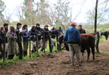 La ERAGIA afina la mirada de sus estudiantes junto a un especialista en jura de la raza Brangus