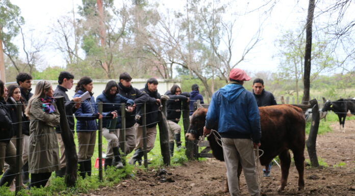 La ERAGIA afina la mirada de sus estudiantes junto a un especialista en jura de la raza Brangus