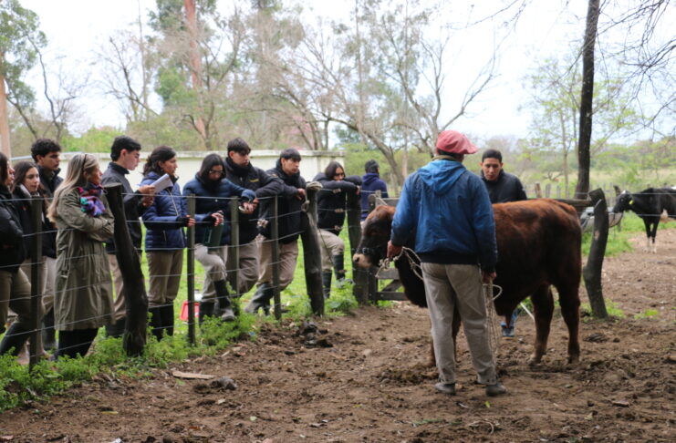 La ERAGIA afina la mirada de sus estudiantes junto a un especialista en jura de la raza Brangus