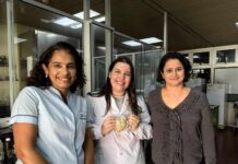 NUEVOS CONOCIMIENTOS Chañar: un árbol con frutos de alto valor nutricional que la ciencia quiere aprovechar