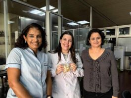 Chañar: un árbol con frutos de alto valor nutricional que la ciencia quiere aprovechar