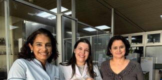 NUEVOS CONOCIMIENTOS Chañar: un árbol con frutos de alto valor nutricional que la ciencia quiere aprovechar