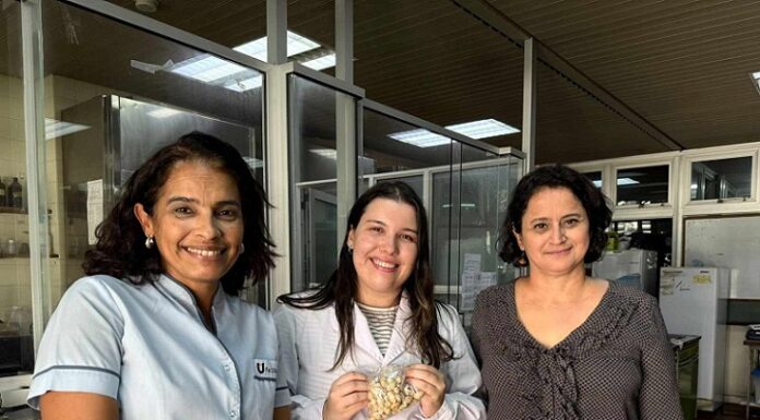 NUEVOS CONOCIMIENTOS Chañar: un árbol con frutos de alto valor nutricional que la ciencia quiere aprovechar