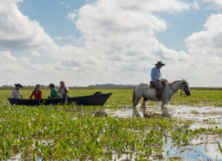 CONSEJO SUPERIOR Aprueban la inclusión del proyecto “Hotel Escuela de Turismo y Gastronomía” en la estructura funcional de la UNNE