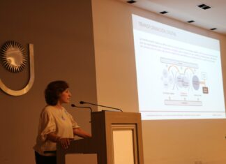 A paso firme, la UNNE comienza a transitar el camino hacia la transformación digital y el uso de la IA