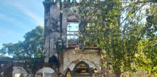 LAS PALMAS, CHACO Estudiantes de Administración y Economía visitaron Museo del ex Ingenio Las Palmas