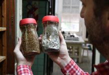 BIOTECNOLOGÍA Transformando residuos de la industria arrocera y cervecera, desarrollan alimentos innovadores para piscicultura