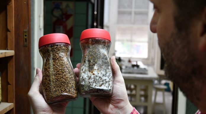 BIOTECNOLOGÍA Transformando residuos de la industria arrocera y cervecera, desarrollan alimentos innovadores para piscicultura