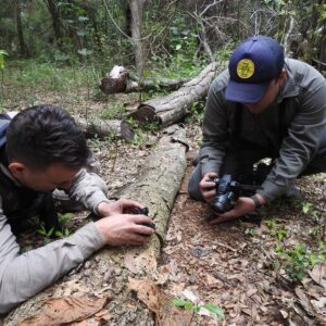 Estudio Parque El Palmar Gentileza Lic Dionel Aguiar