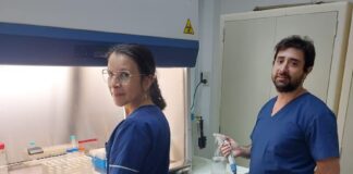 CONVERTIR UN RESIDUO EN UN RECURSO Optimizan la extracción por ultrasonido de compuestos antioxidantes de vainas del poroto terciopelo