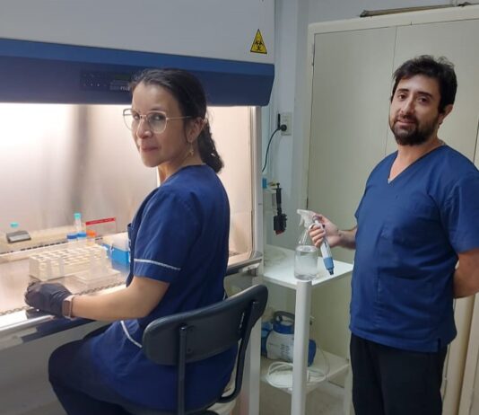 Optimizan la extracción por ultrasonido de compuestos antioxidantes de vainas del poroto terciopelo