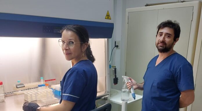 CONVERTIR UN RESIDUO EN UN RECURSO Optimizan la extracción por ultrasonido de compuestos antioxidantes de vainas del poroto terciopelo