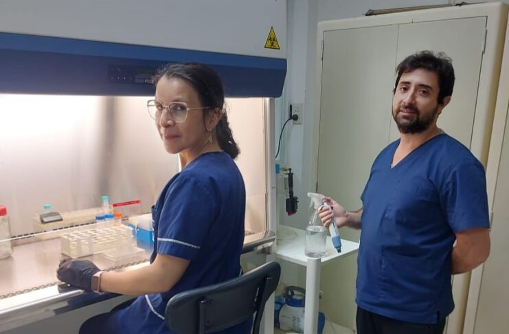 Optimizan la extracción por ultrasonido de compuestos antioxidantes de vainas del poroto terciopelo