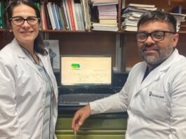 Por medio de novedosos solventes ecológicos, logran mejorar extracción de compuestos de interés del mango