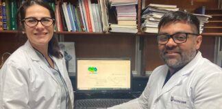 Por medio de novedosos solventes ecológicos, logran mejorar extracción de compuestos de interés del mango