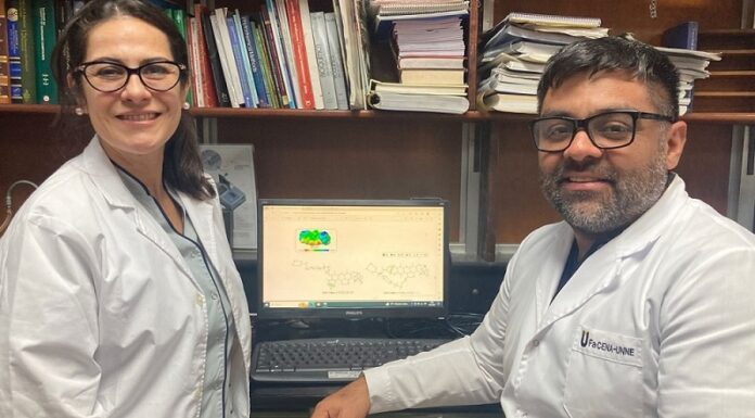 Por medio de novedosos solventes ecológicos, logran mejorar extracción de compuestos de interés del mango