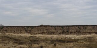 PALEONTOLOGÍA EN LA REGIÓN Análisis tafonómico revela nuevos datos sobre la Formación Toropí/Yupoí en Corrientes
