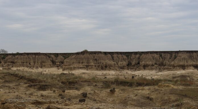 PALEONTOLOGÍA EN LA REGIÓN Análisis tafonómico revela nuevos datos sobre la Formación Toropí/Yupoí en Corrientes
