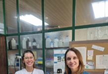 Nuevos avances sobre el potencial de toxinas aisladas del veneno de yarará para terapias antitumorales