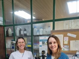 Nuevos avances sobre el potencial de toxinas aisladas del veneno de yarará para terapias antitumorales