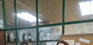 ESTUDIO INTERNACIONAL Nuevos avances sobre el potencial de toxinas aisladas del veneno de yarará para terapias antitumorales