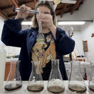 Estudio de Plantaciones de frutillas de Corrientes