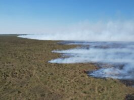 Mediante herramientas de Google Earth Engine analizaron la severidad de los incendios en Iberá durante el 2022