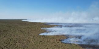 ESTUDIO DEL CECOAL Mediante herramientas de Google Earth Engine analizaron la severidad de los incendios en Iberá durante el 2022
