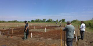 EN LA PROVINCIA DE CHACO Evidencian impacto positivo del agregado de aserrín de algarrobo y estiércol vacuno para mejorar suelos degradados