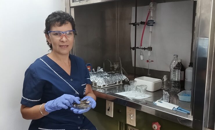 Identifican compuestos fenólicos con propiedades antioxidantes en vainas de legumbres de la región