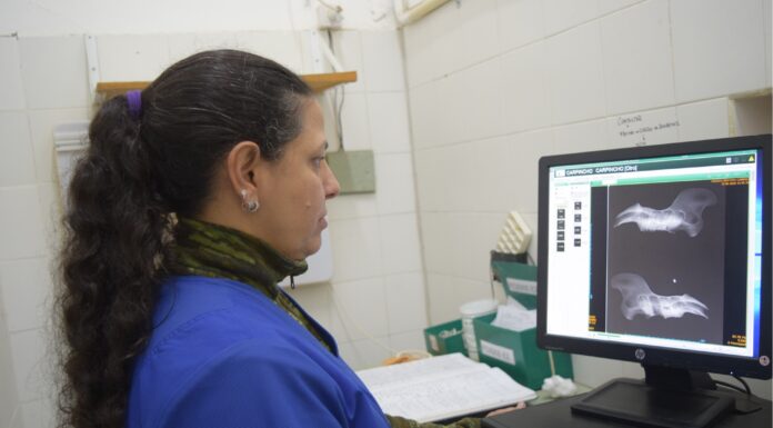 Publican en revista internacional el primer informe de patologías óseas en carpinchos