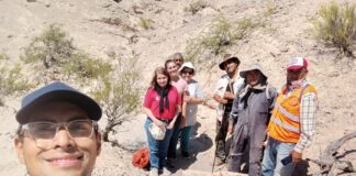 PROYECTO DE ALCANCE INTERNACIONAL A través de estudios con maderas fósiles, buscan caracterizar bosques del periodo Pérmico de gran extinción masiva