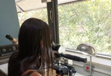 CECOAL: Estudio en cooperación internacional aporta al conocimiento de la diversidad parasitaria de reptiles sudamericanos