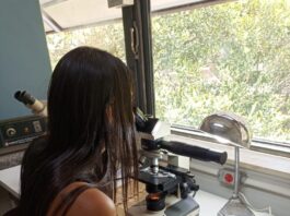 CECOAL: Estudio en cooperación internacional aporta al conocimiento de la diversidad parasitaria de reptiles sudamericanos