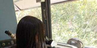 CECOAL: Estudio en cooperación internacional aporta al conocimiento de la diversidad parasitaria de reptiles sudamericanos