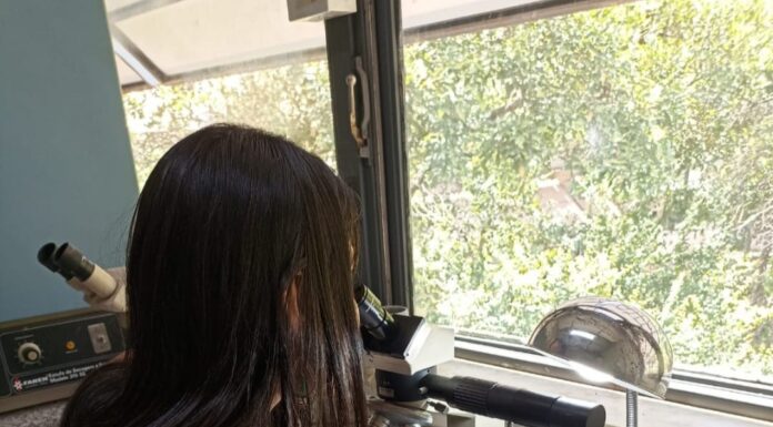 PUBLICADO EN ACTA PARASITOLOGICA CECOAL: Estudio en cooperación internacional aporta al conocimiento de la diversidad parasitaria de reptiles sudamericanos