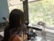 CECOAL: Estudio en cooperación internacional aporta al conocimiento de la diversidad parasitaria de reptiles sudamericanos