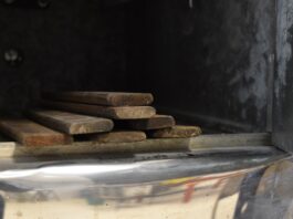 Investigadores de UNNE colaboraron en estudio internacional sobre descomposición de madera y aporte de carbono al ambiente