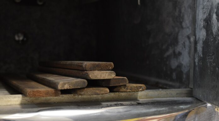 Investigadores de UNNE colaboraron en estudio internacional sobre descomposición de madera y aporte de carbono al ambiente