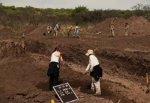 Excavaciones en La Perla: “Hallamos fragmentos que prueban el crimen de la dictadura en La Perla”