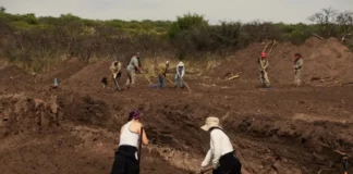 Excavaciones en La Perla: “Hallamos fragmentos que prueban el crimen de la dictadura en La Perla”